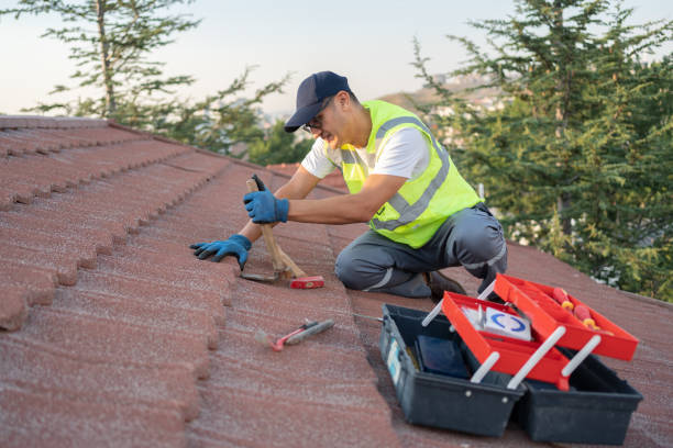 Best Metal Roofing Contractor  in Waxahachie, TX